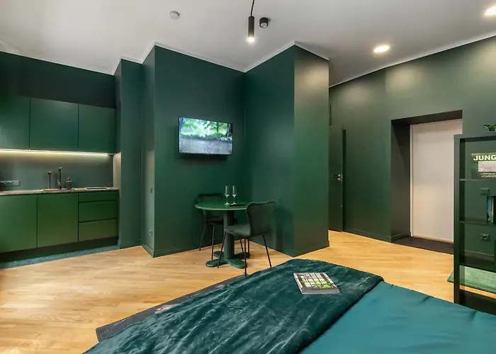 Skunu 6 Elegant In Old Town 리가